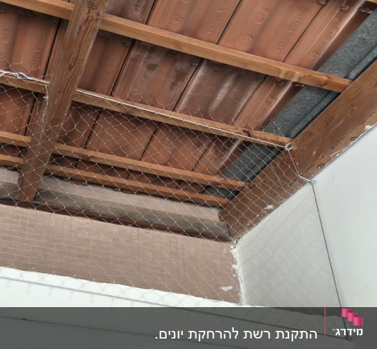 רשת מתוחה מתחת לגג למניעת כניסת יונים